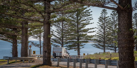 Lady Bay Beach - Accommodation Australia 1