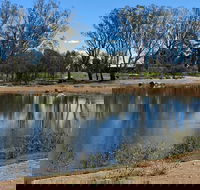Lake King Wetlands at Rutherglen - Accommodation Australia