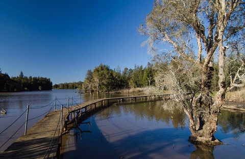 Longneck Lagoon Walking Track - Accommodation Australia 0