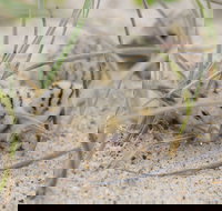 Manning Entrance State Park