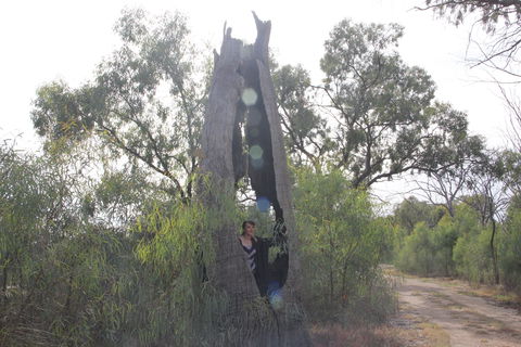 Martin Bend Wetland And Walking Trail - Local Tourism 1