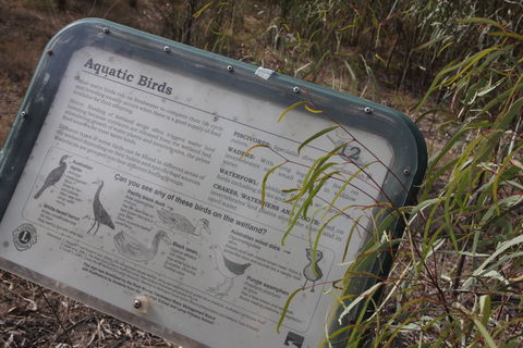 Martin Bend Wetland And Walking Trail - Local Tourism 2