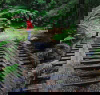 Montezuma Falls - Local Tourism