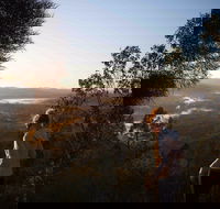 Mount Arthur Reserve - Accommodation Australia