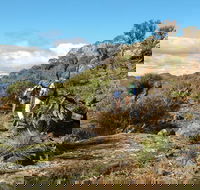 Mount Exmouth walking track - Local Tourism