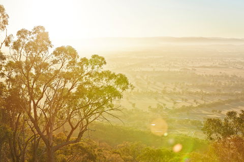 Mt Glenrowan Lookout Walk - Accommodation Australia 1