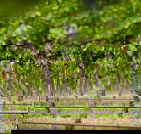 Murrumbateman - Accommodation Australia