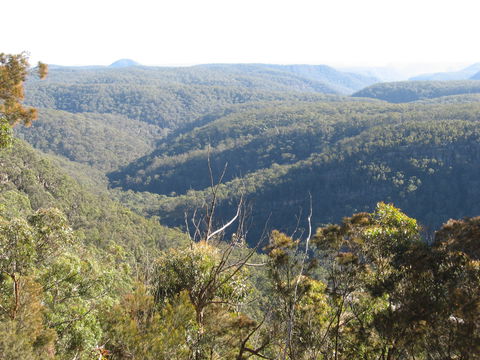 Nattai Gorge Lookout - Accommodation Australia 1