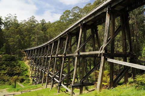 Noojee Trestle Bridge - Accommodation Australia 0