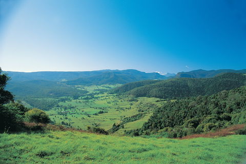 Numinbah Section, Springbrook National Park - Local Tourism 0