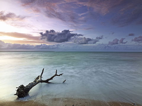 Paul Arnold Gallery - Accommodation Australia 1