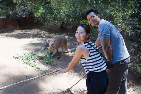 Perth Zoo - Accommodation Australia 2