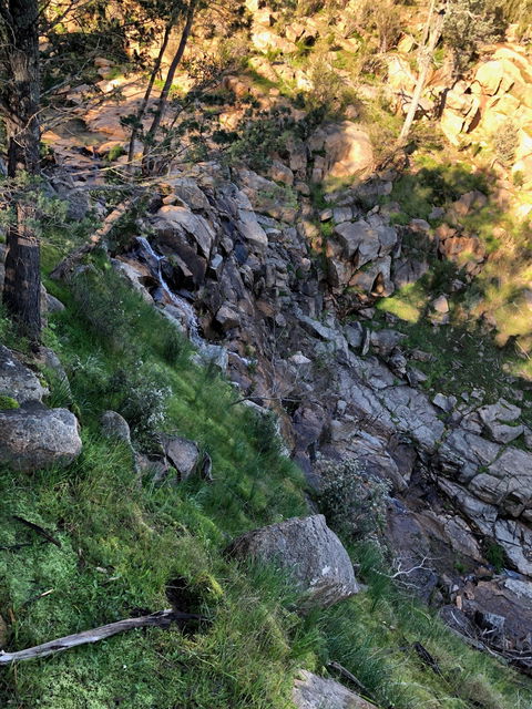 Pine Gully Nature Trail - Accommodation Australia 0