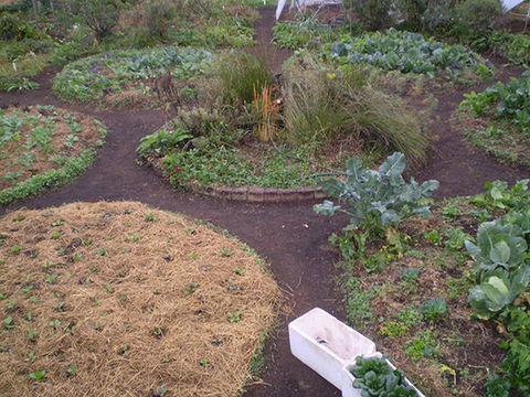Purple Pear Farm - Local Tourism 1