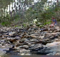 Rocksberg Park Heritage Reserve - Local Tourism