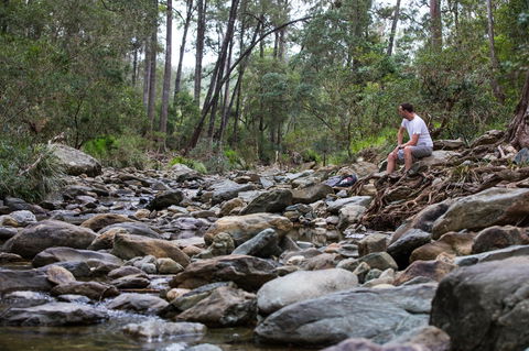 Rocksberg Park Heritage Reserve - Local Tourism 0