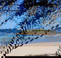 Sandon Beach - Accommodation Australia