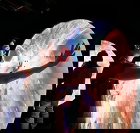 Scienceworks - Australia Shopping