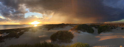 Shelly Beach Dune Walk Trail - Local Tourism 2