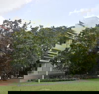 State Square Banyan Tree - Accommodation Australia