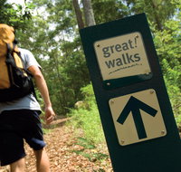 Sunshine Coast Hinterland Great Walk - Accommodation Australia