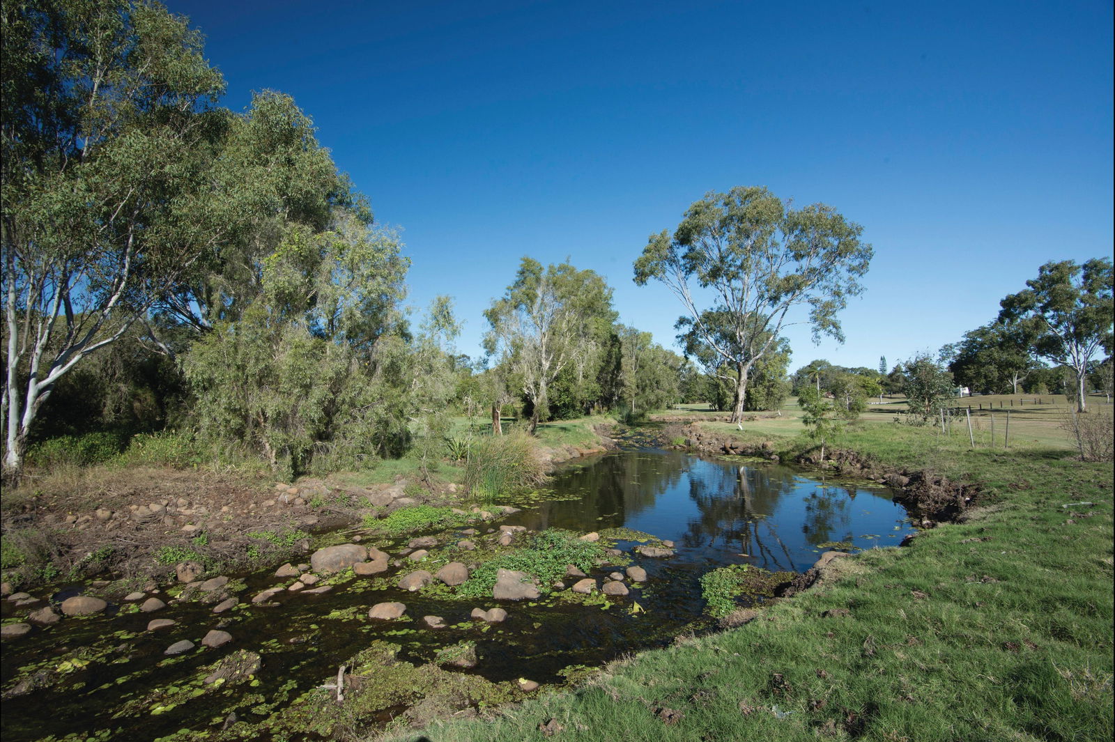 Millbank QLD Local Tourism