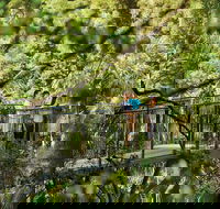 Tamborine Mountain - Accommodation Australia