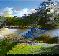 Tasmanian Arboretum Inc. - The - Local Tourism