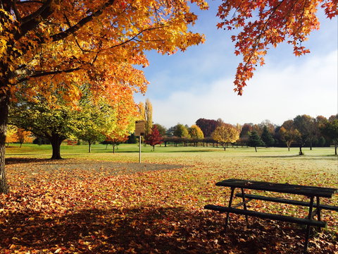 Tenterfield - Accommodation Australia 2