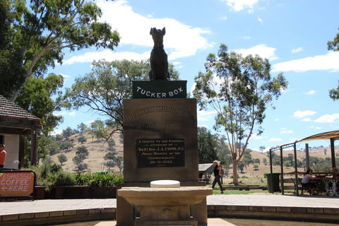 The Dog On The Tucker Box - Accommodation Australia 2