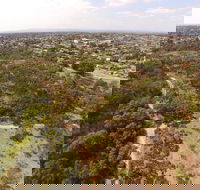 The Pines Flora and Fauna Reserve - Local Tourism