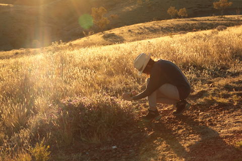 Tnorala (Gosse Bluff) Conservation Reserve - Local Tourism 1
