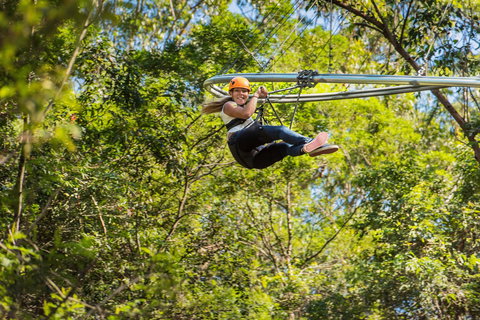 TreeTop Crazy Rider - Local Tourism 0