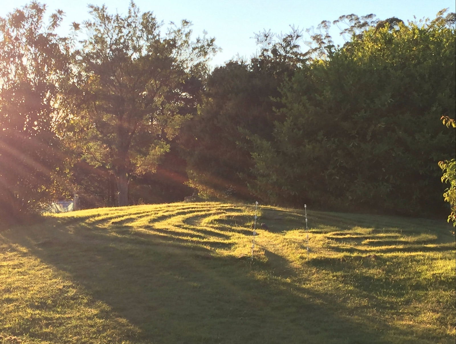 Gray TAS Accommodation Australia