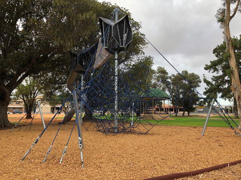 Walk In The Trees, Kadina - Local Tourism 1