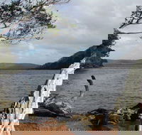 Walpole-Nornalup Inlet - Local Tourism