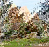 Warren Gorge - Accommodation Australia