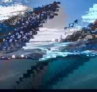 Whale Watching - Local Tourism