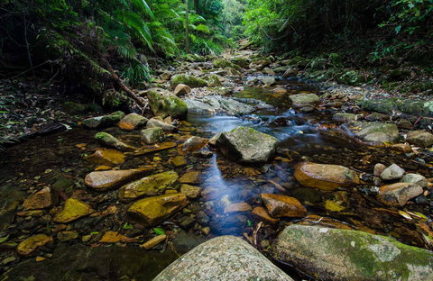 Willi Willi National Park - Australia Shopping 0