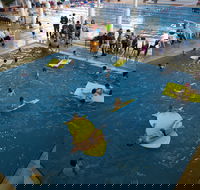 Wodonga Sports and Leisure Centre - Local Tourism