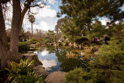 Adelaide Himeji Garden - Accommodation Australia 1