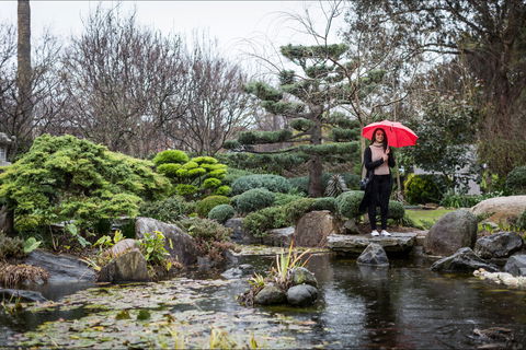 Adelaide Himeji Garden - Accommodation Australia 2