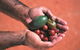 Alice Springs And Surrounds - thumb 1