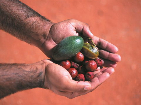 Alice Springs And Surrounds - Accommodation Australia 1