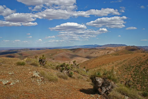 Arden Hills 4WD Track. - Accommodation Australia 0