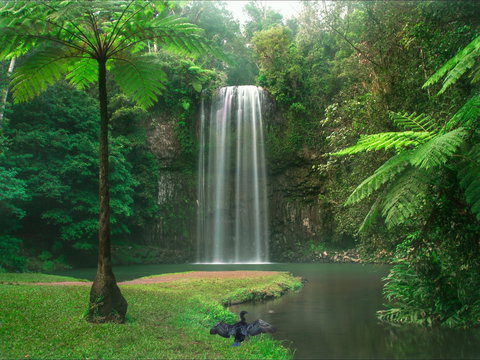 Atherton Tablelands - Australia Shopping 0