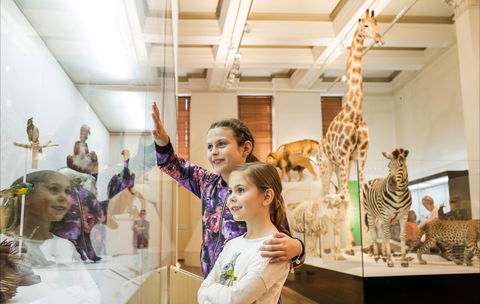 Australian Museum - Accommodation Australia 1