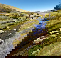 Australian Alps Walking Track - Bed n Breakfasts