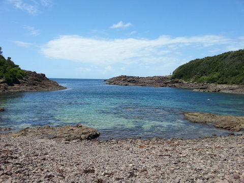 Bass Point Reserve - Local Tourism 0