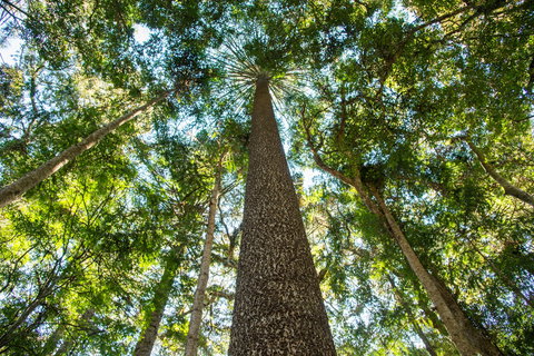 Big Sky National Parks - Bed n Breakfasts 0